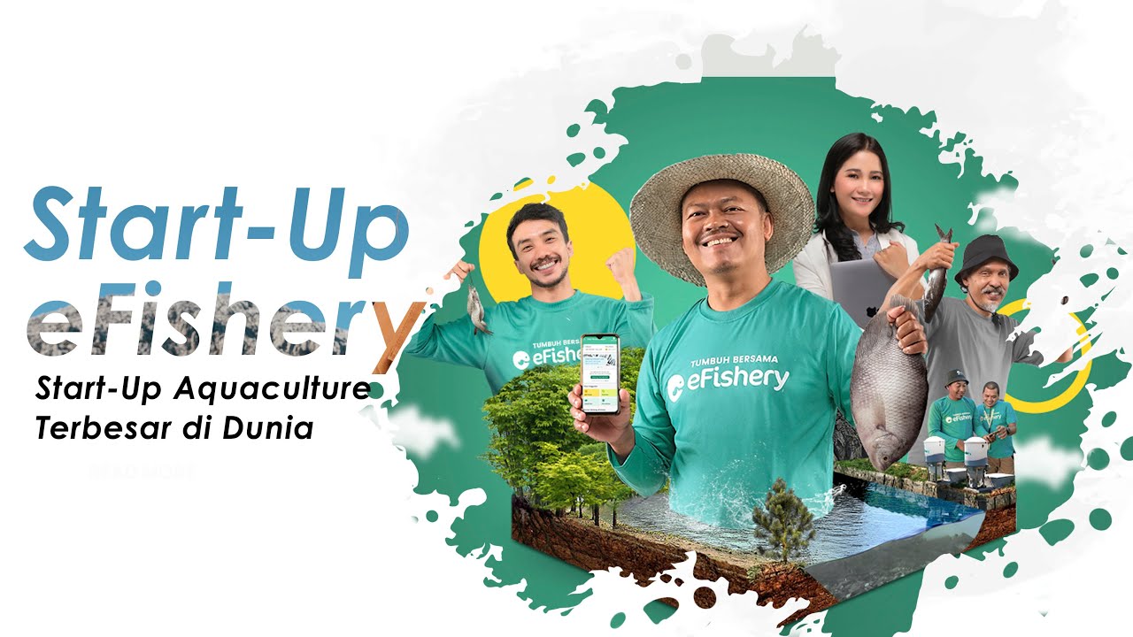 CFI | EFishery Start-Up Aquaculture Terbesar Didunia - YouTube