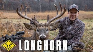 LONGHORN Returns | BACK after a 12 month Hiatus...