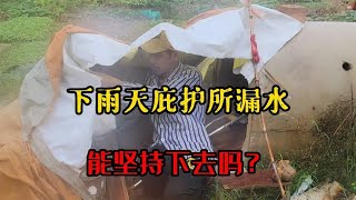 野外生活下雨天是什么体验，庇护所漏水了，能坚持下去吗？