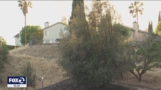 Contra Costa County fire crews respond to 33 arson calls in two days, arrests made