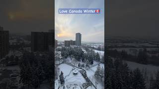 Snowfall In Canada and Birds Life |  Winters In Canada #winter #toronto #canadalife #snowfall