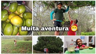 vitamina deliciosa/fomos buscar manga /tomamos um banho de chuva .