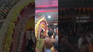 ಪಂಜುರ್ಲಿ ದೈವ | ಕಟ್ಟಕೋಡಿ | Panjurli Daiva | Kattakodi #arebhashe #bandadka #kasaragod #kerala #gowda