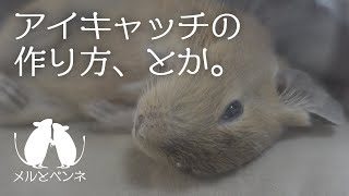 【HowTO】当チャンネルでのアイキャッチの作り方とかBGM選曲の基準とか。