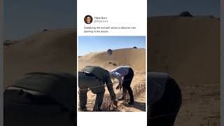 Stabilizing the soil with sticks to allow for tree planting in the desert