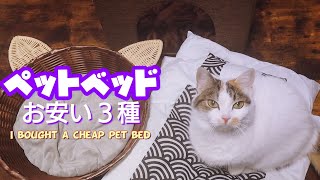 猫様達にDAISOペットベッドを３種類買ってみました 【munchkin cat exoticshorthair kitten】