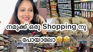 🤩നമുക്കൊരു ഷോപ്പിംഗിനു പോയല്ലോ| Random day in my life | Andreena Nixon #shopping #dayinmylife