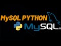 Python  MySQL