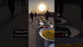 Tons Of Free Fruits For Zaireen Imam Hussain a.s. From Basra To Karbala || #arbaeenwalk #arbaeen