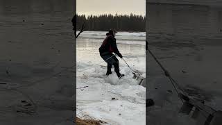 Dangerous River Ice is Rarely this Forgiving #scary #winter #river