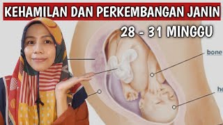 KEHAMILAN DAN PERKEMBANGAN JANIN USIA 7 BULAN (28,29,30 \u0026 31 MINGGU)