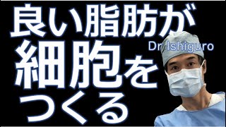 良い脂質が1年で体を再生するー超一流の食事術4