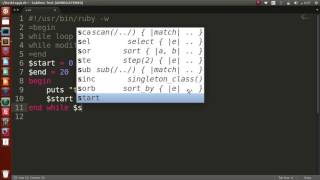 19_Ruby basics (while loop & while modifier)