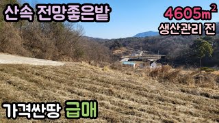 (매물번호13674) 보은부동산 4605㎡(1393) 보은땅 보은토지매매매물 청주부동산 청주토지 청주땅 시골땅 촌땅 귀농귀촌 전원주택지 대전부동산 대전토지 대전땅 9900만원