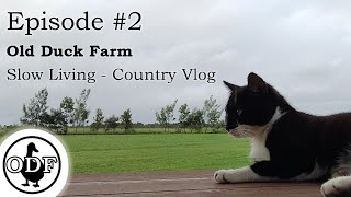 Episode 2 baking war biscuits – slow country living change