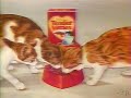 purina tender vittles cat food commercial 1984