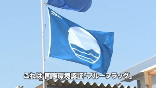 【神奈川県】世界基準の一流ビーチ由比ガ浜～神奈川県・地域住民が整備した海離れの青い救世主！～｜ソーシャルイノベーションニュース