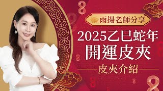 雨揚老師分享_2025乙巳年開運皮夾介紹｜飛躍滿祿財庫組