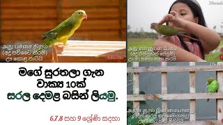 මගේ සුරතලා දෙමළ බසින් සරල වාක්‍ය 10ක්|enadu sellappirani|mage surathala|එනදු සෙල්ලප්පිරාණි|සරල රචනාව