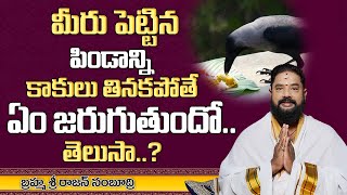 Secrets Behind Feeding Crows in Hindu Dharm - Telugu Unknown Facts - MY DESTINY