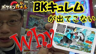 [ガオーレ] まったくもって出現すらしない「ブラックキュレム」に出会いたい！！ 【ポケモンガオーレ グランドラッシュ3弾 コロコロスペシャルコース】