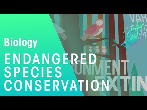 Why are species going endangered?