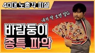 바람둥이 1편 - 40대 남자가 본 바람피는 남자들의 부류와 특징 [솔로몬]