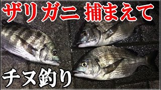 ザリガニを捕まえて黒鯛(チヌ)を釣るという子供の遊びのような釣りをやってみた！【ヘチ釣り・前打ち釣法・ザリガニング】