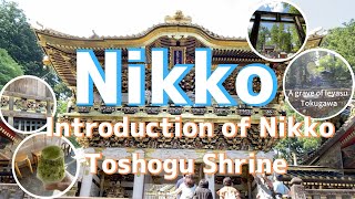 【Rental car in Japan②】Introduction of Nikko Toshogu Shrine