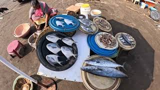 Harnai Fish Market in Dapoli, Maharashtra: The World's Best Fish Market (2023) #Fresh 🐠 #Food