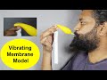 Vibrating Membrane Model | ThinkTac | DIY Science