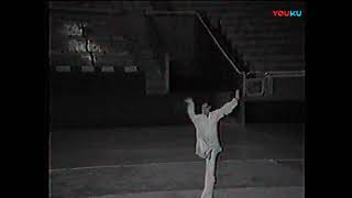 燕青拳　胡正順老師　燕青靠拳　1984～1986年