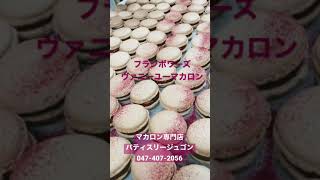 船橋市【クリスマスケーキ2021】マカロン特典　フランボワーズヴァニーユ　#Shorts