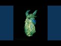 Monomyth