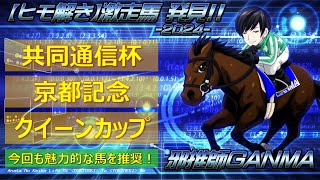 ＜共同通信杯＆クイーンカップ＆京都記念＞【ヒモ解き】激走馬 発見！2024