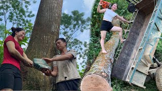 agricultural vehicle transporting timber buys giant trees for a huge amount of money