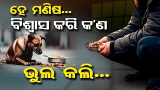 ହେ ମଣିଷ,  ବିଶ୍ବାସ କରି କଣ ଭୁଲ୍ କଲି  | Odisha Reporter