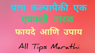 पाच कल्पापैकी एक एकाक्षी नारळ फायदे आणि उपाय|#alltipsmarathi