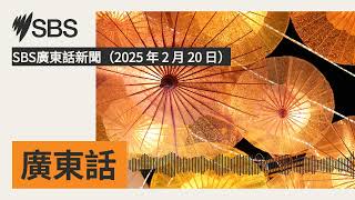 SBS廣東話新聞（2025 年 2 月 20 日） | SBS Cantonese - SBS廣東話節目