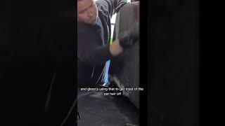 Remove Pet hair easy with this simple trick! #autodetail #cardetail #pethair