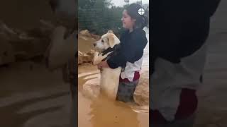 Así evacúan a ciudadanos en Xivert (Castellón) por la DANA #dana