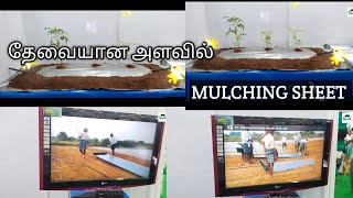 விவசாயத்திற்கு தேவையான MULCHING SHEET || தேவையான அளவில் கிடைக்கும்