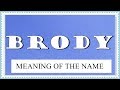 MEANING OF THE NAME BRODY, FUN FACTS, HOROSCOPE