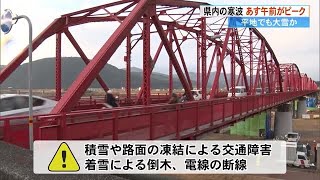 10日昼前にかけて警報級の大雪可能性　高知自動車道一部通行止めも (25/01/09 17:10)