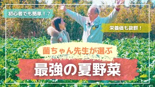 菌ちゃん先生が選ぶ最強の夏野菜！