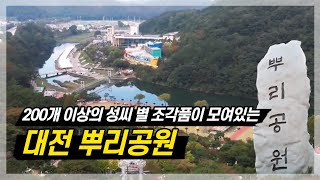 대전 뿌리공원 I 뿌리공원 I 만개의 성씨 I 대전 중구 I 여행가자