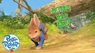 @OfficialPeterRabbit - 🤪🎢 Peter Rabbit's Wild Ride! 🤪🎢 | +20 Mins | Cartoons for Kids