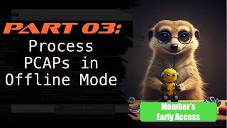 03 - Processing PCAPs in Offline Mode