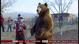 Brown (dancing) bear sanctuary (Bulgaria) - BBC News - 4th August 2018