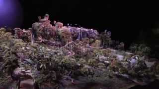 Pandora: The World of AVATAR Imagineering Exhibit at D23 Expo 2015